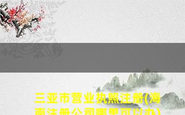 三亚市营业执照注册(海南注册公司哪里可以办)