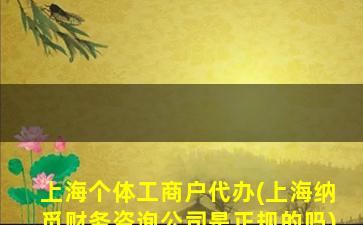 上海个体工商户代办(上海纳觅财务咨询公司是正规的吗)