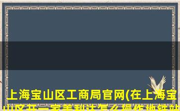 上海宝山区工商局官网(在上海宝山区开一家美利达怎么操作地铁站附近)