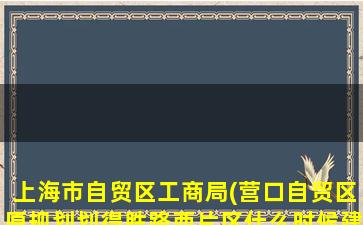 上海市自贸区工商局(营口自贸区原规划划得胜路西片区什么时候建设)