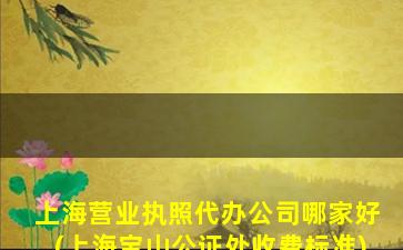 上海营业执照代办公司哪家好(上海宝山公证处收费标准)