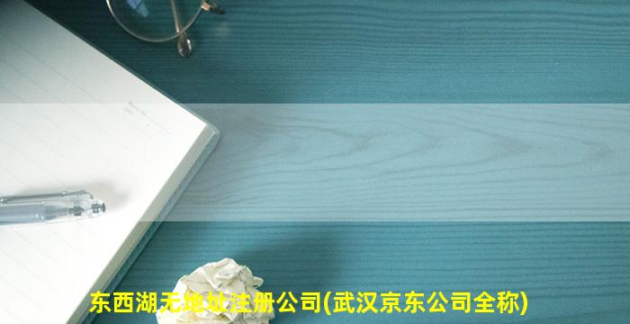 东西湖无地址注册公司(武汉京东公司全称)