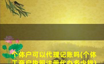 个体户可以代理记账吗(个体工商户执照注册代办多少钱)